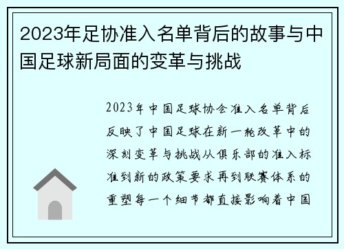 2023年足协准入名单背后的故事与中国足球新局面的变革与挑战