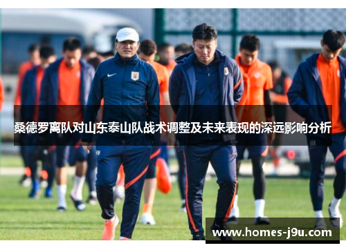 桑德罗离队对山东泰山队战术调整及未来表现的深远影响分析