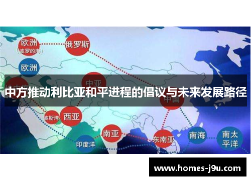 中方推动利比亚和平进程的倡议与未来发展路径