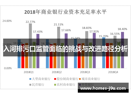 入河排污口监管面临的挑战与改进路径分析