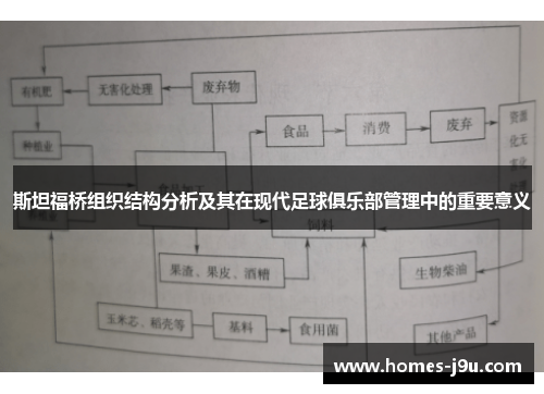 斯坦福桥组织结构分析及其在现代足球俱乐部管理中的重要意义