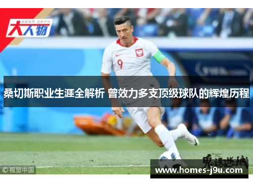 桑切斯职业生涯全解析 曾效力多支顶级球队的辉煌历程